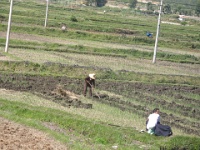 2009 China 856